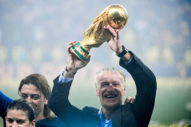 表现尤为亮 表现尤为亮