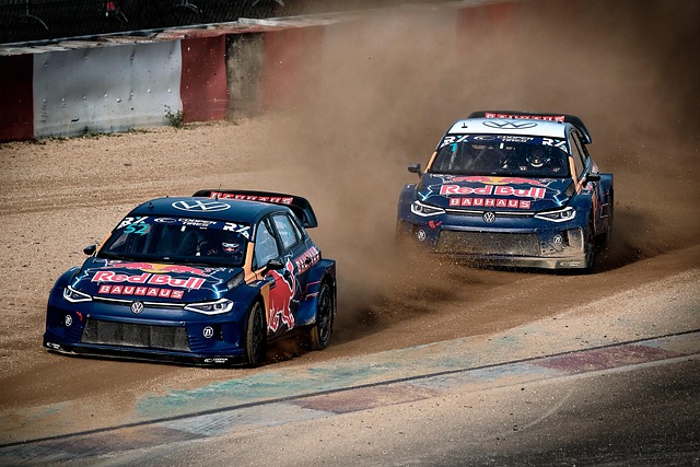 们希望适应 们希望适应