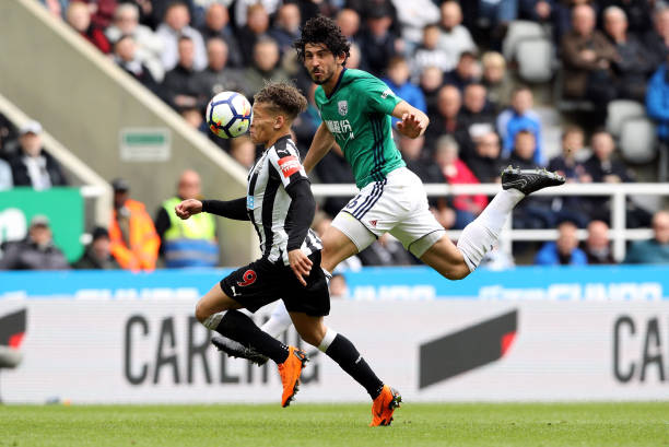 系无疑是影 系无疑是影