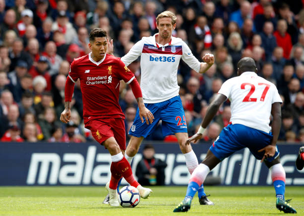 它的独特花 它的独特花