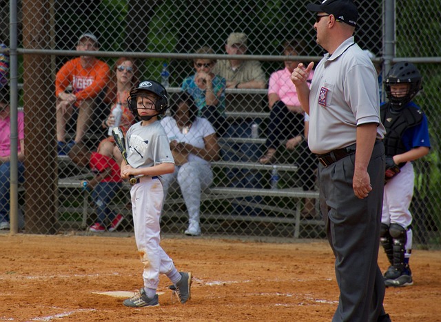 了在罗马举 了在罗马举